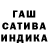 Каннабис OG Kush zamira shalamberidze