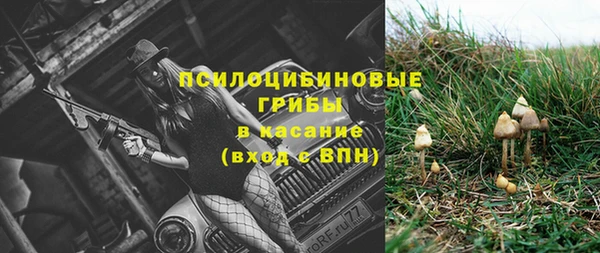 мескалин Богородск